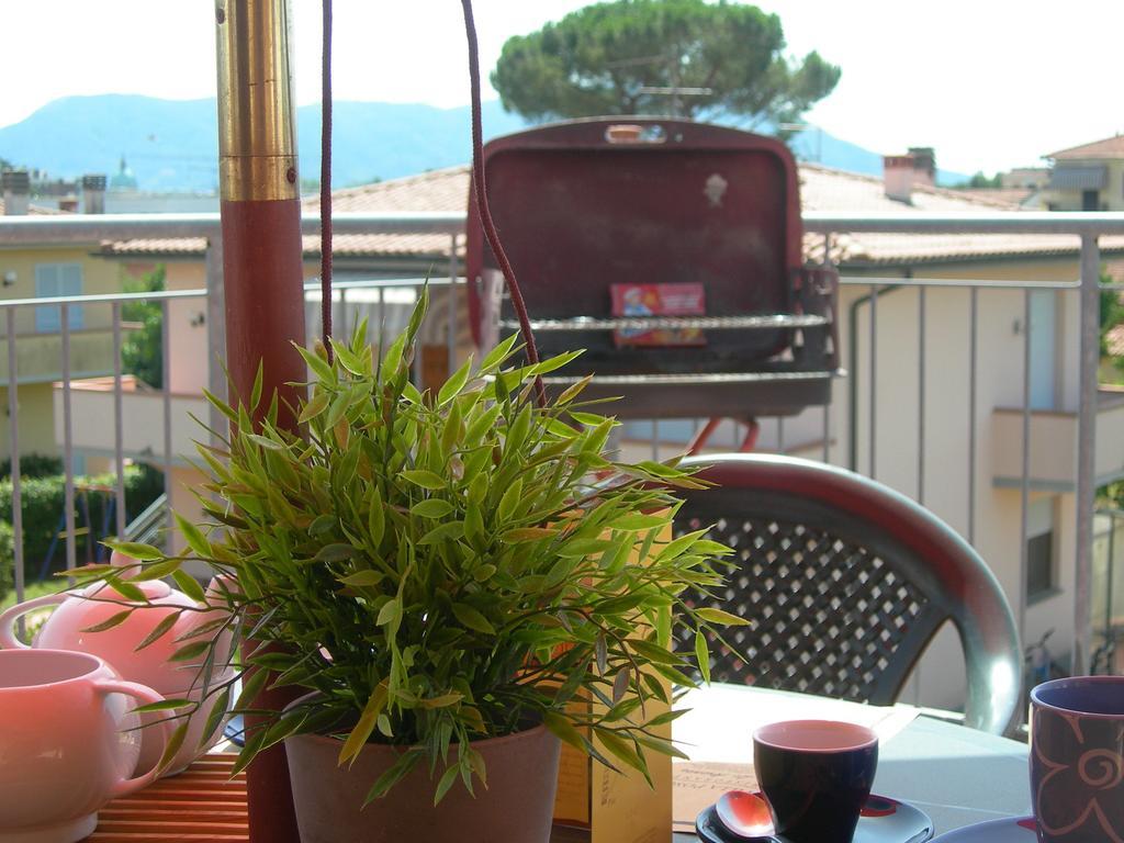 La Rondine Daire Lucca Oda fotoğraf
